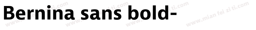 Bernina sans bold字体转换